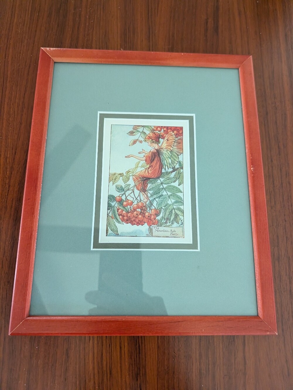 Vintage Flower Fairies Print Mount Mountain Ash Fairy Cicely Barker Framed Print